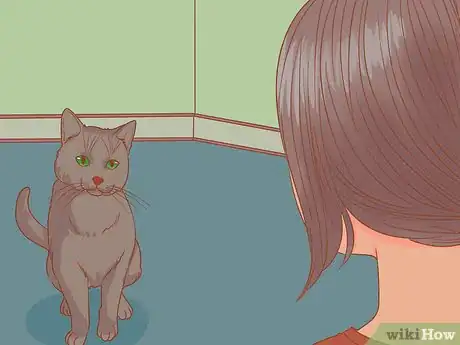 Image titled Introduce a Cat That Used to Belong to Someone Else to Your Home Step 10