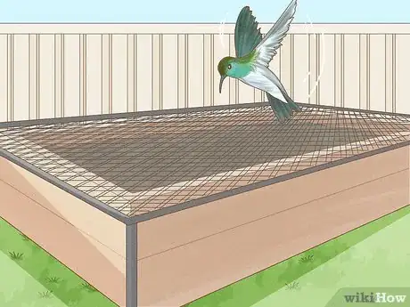 Image titled Protect Your Garden from Birds Step 3