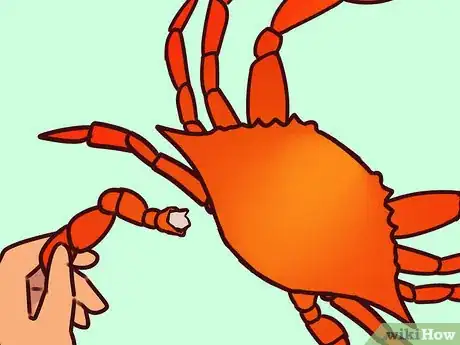 Image titled Eat a Maryland Blue Crab Step 14