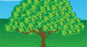 Celebrate Waitangi Day