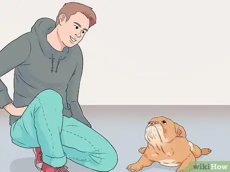 Image titled Make a Pet Love You Step 3