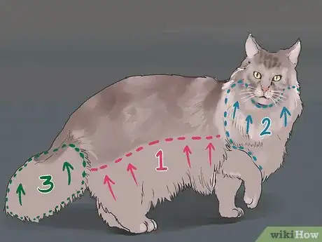 Image titled Take Care of Your Long Haired Maine Coon Step 10