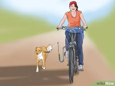 Image titled Walk Your Dog in Imaginative Ways Step 2