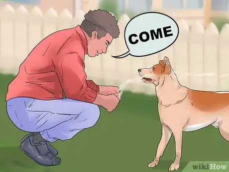 Image titled Bond with a Shy Dog Step 8