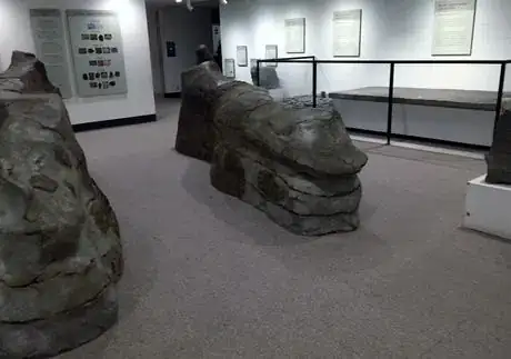 Image titled NYSM Fossils