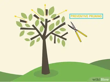 Image titled Prune an Avocado Tree Step 15