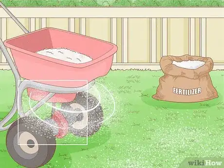 Image titled Maintain Bermuda Grass Step 16