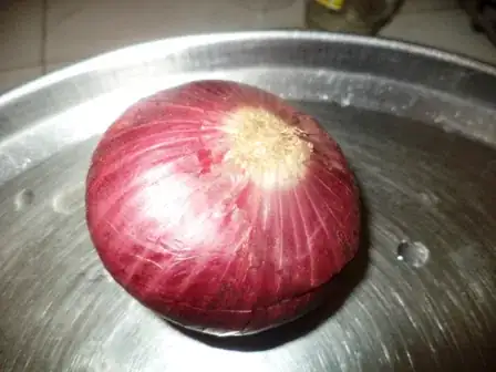 Image titled DSC02644.JPG