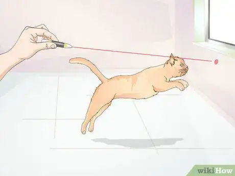 Image titled Stop a Cat from Licking Stuffed Animals and Blankets Step 8