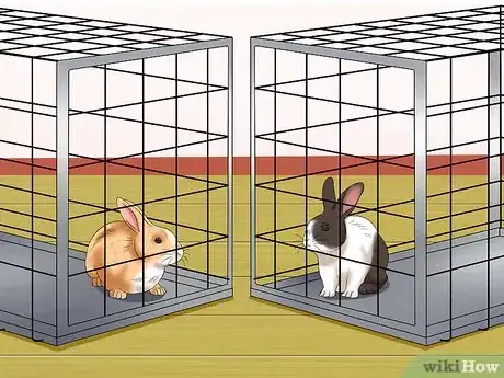 Image titled Socialize Your Rabbit Step 7