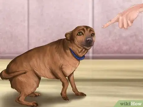 Image titled Reprimand a Pet Step 8