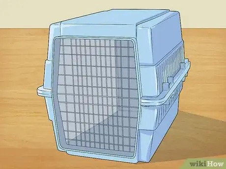 Image titled Look After Your First Puppy Step 4