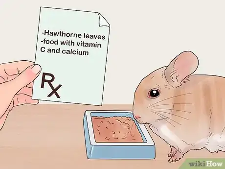 Image titled Diagnose Heart Murmurs in Chinchillas Step 9