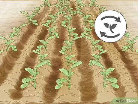 Image titled Use Crop Rotation in Gardening Step 11