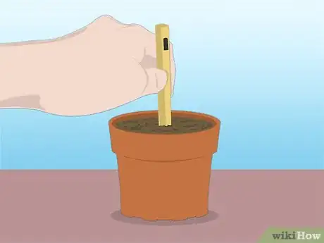 Image titled Propagate Azaleas Step 18