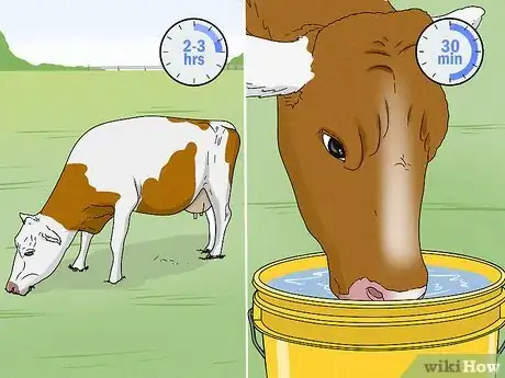 Image titled Increase Dairy Milk Production Step 4