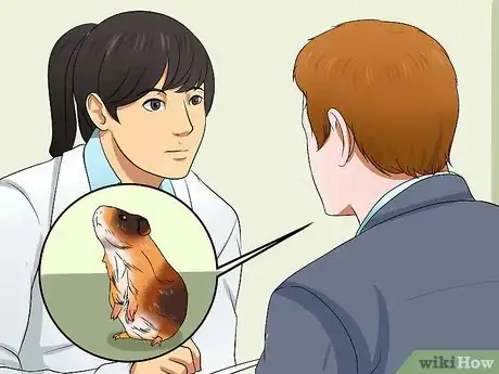 Image titled Know if a Pet Guinea Pig Is Ill Step 3