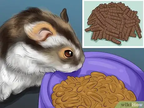 Image titled Care for a Hamster on a Small Budget Step 4