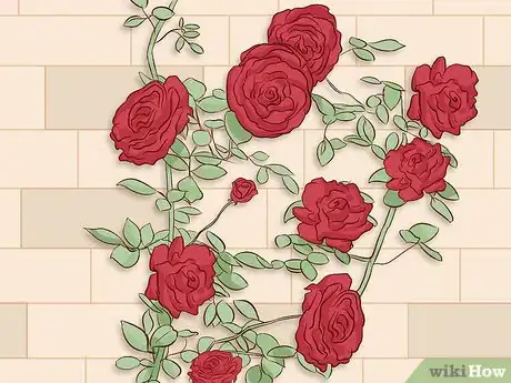 Image titled Buy Rose Bushes Step 7