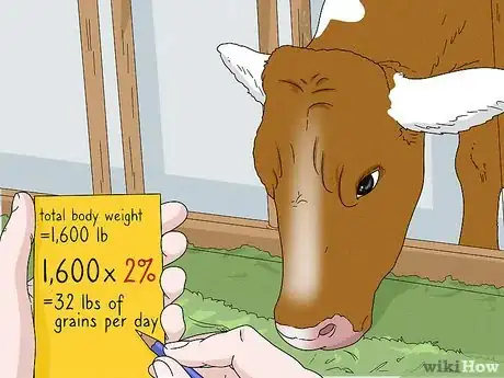 Image titled Increase Dairy Milk Production Step 6