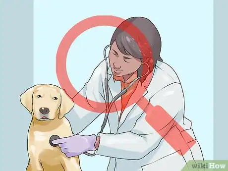 Image titled Handle a Dog Given to You As a Gift Step 10