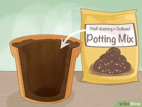 Image titled Care for a Golden Pothos Step 11