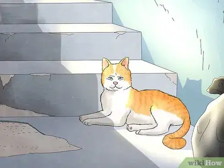 Image titled Identify and Help Feral and Stray Cats Step 1