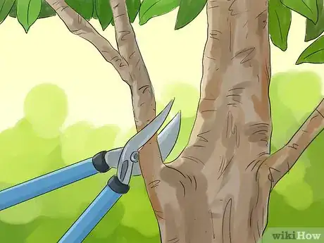 Image titled Prune a Magnolia Tree Step 12