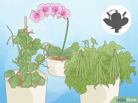 Image titled How Do Insects Help a Plant to Reproduce Step 7