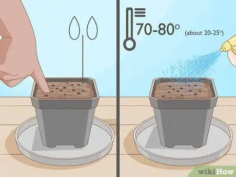 Image titled Raise Carnivorous Plants Step 12