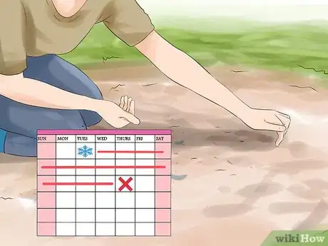 Image titled Grow Sweet Corn Step 1