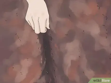 Image titled Grow Dandelions Step 3