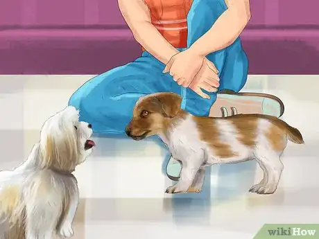Image titled Relieve Your Dog's Boredom Step 7