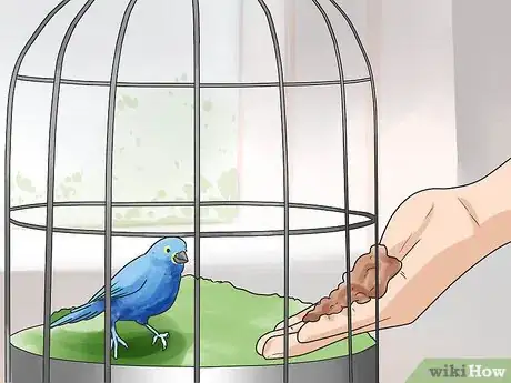 Image titled Perch Train Your Parakeet Step 11