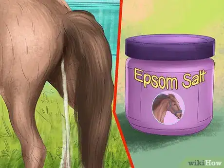 Image titled Feed a Horse Magnesium Step 6
