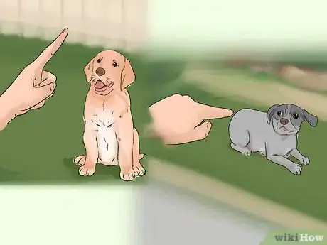 Image titled Introduce Your New Dog to Dogs in the Neighborhood Step 12