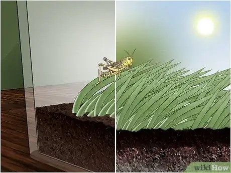 Image titled Photograph Insects Step 7