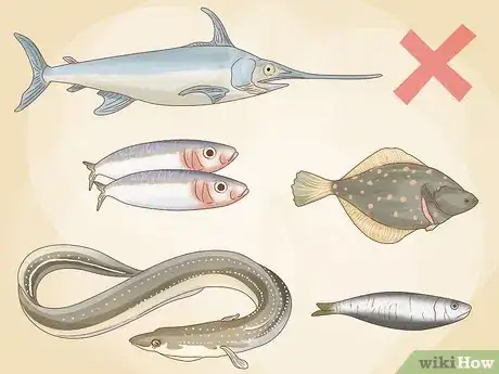 Image titled Eat Fish Sustainably Step 5