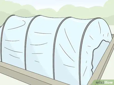 Image titled Use Horticultural Fleece Step 4