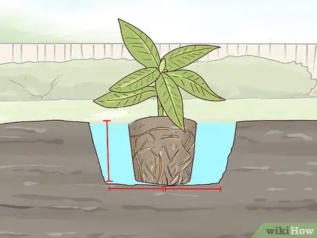 Image titled Grow Rhododendron Step 9