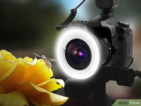 Image titled Photograph Insects Step 6