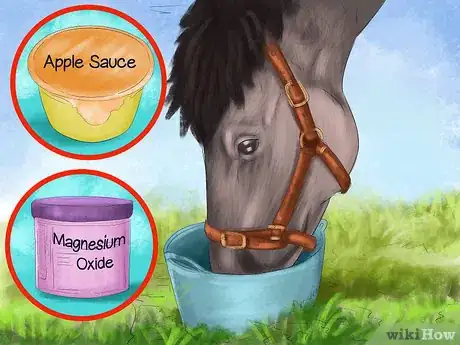 Image titled Feed a Horse Magnesium Step 4