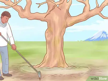 Image titled Prune Old Apple Trees Step 15