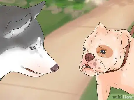 Image titled Work With Dominant Dogs Step 6