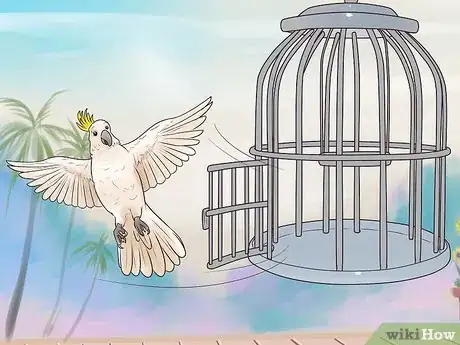 Image titled Deal with Obesity in Cockatoos Step 2