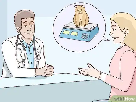 Image titled Handle Degenerative Joint Disease in Cats Step 8