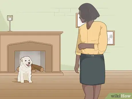 Image titled Keep a Dog Cool in Hot Weather Step 10