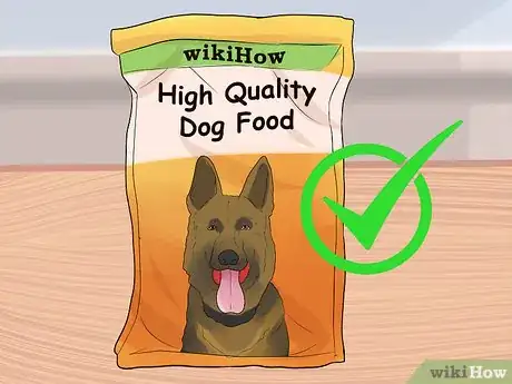 Image titled Holistically Care for a Dog Step 1