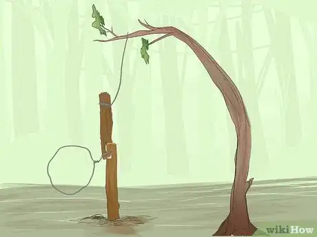 Image titled Make a Trap Step 11