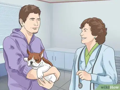 Image titled Diagnose Canine Eye Infections Step 7